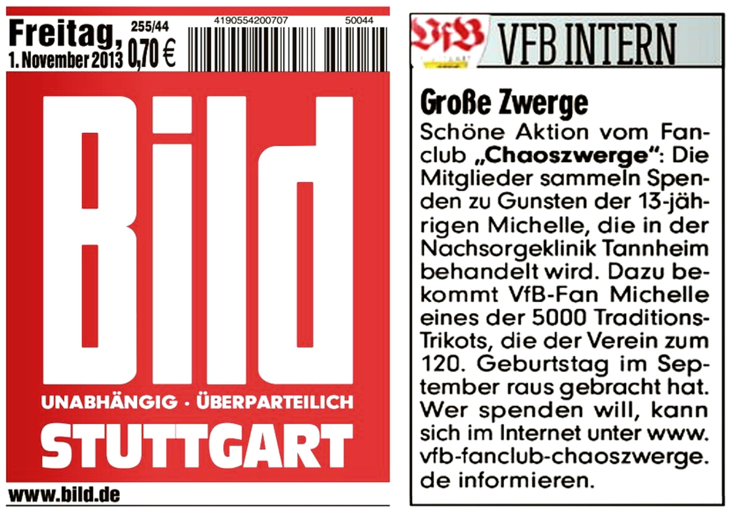 Bildzeitung_01.11.2013_02